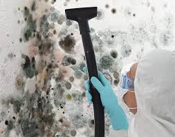 Best Forensic Mold Investigation  in USA